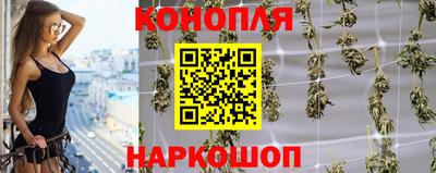 сатива Балаково