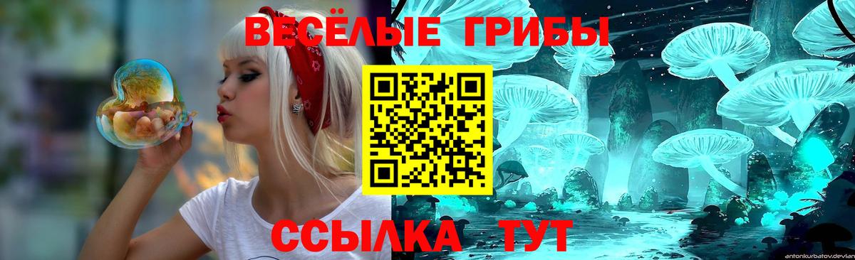 Псилоцибиновые грибы ЛСД Губкин